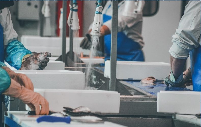 Capture d’écran 2026-03-27 100542